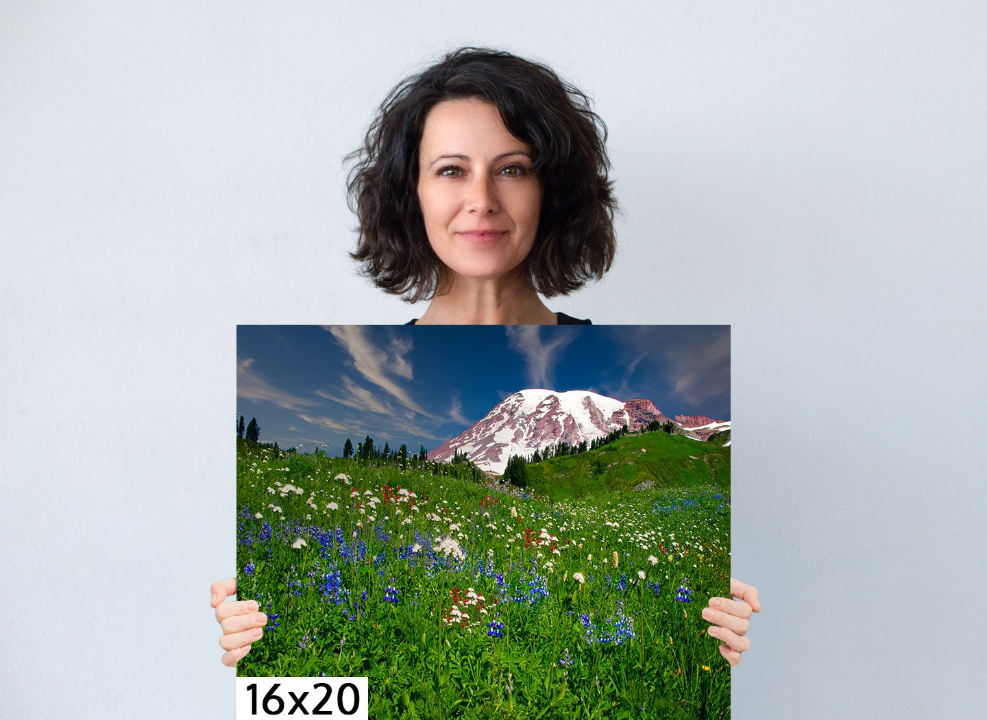 Wildflowers on Mountainside, Mt. Ranier National Park, Snowy Mountain Landscape, Wall Decor Ideal for Home, Living Room, Bedroom Or Office