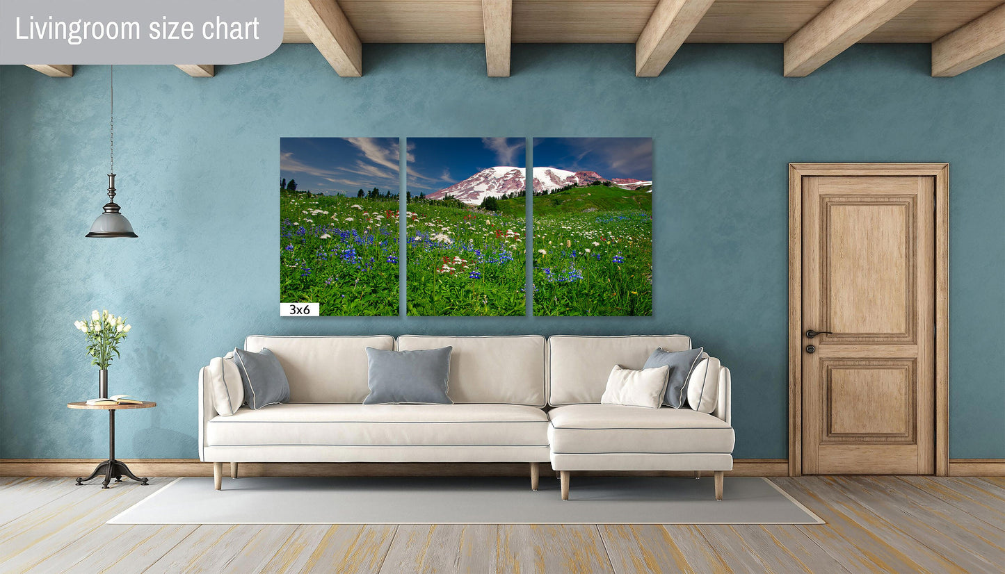 Mountain Wildflowers Art,  Mt. Ranier National Park Photography, Snowy Mountain Landscape, Beautiful Scenery, Large Canvas Print