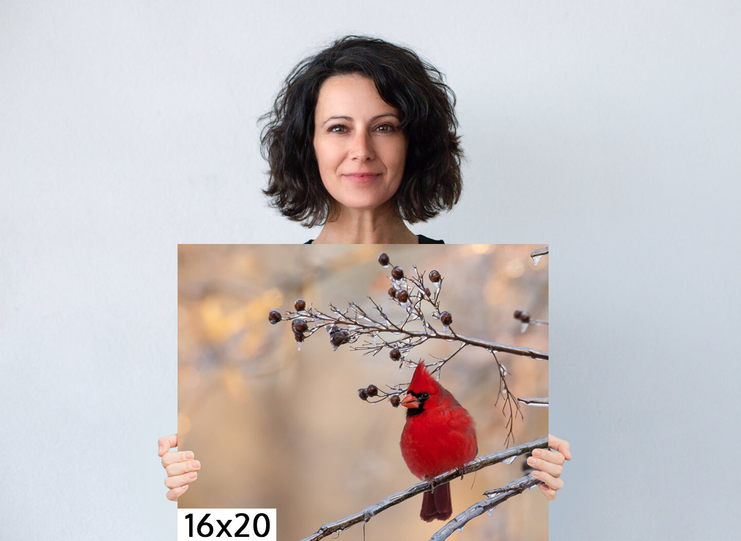 Red Cardinal Canvas Wall Art Prints, Texas Birds, Redbird Photo Canvas, Wall Decor Ideal for Home, Living Room, Bedroom and Kitchen