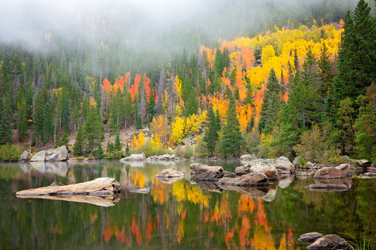 Beautiful red and gold aspens reflecting into Bear Lake at Rocky Mountain National Park. Hazy misty clouds are hanging low on the mountains.