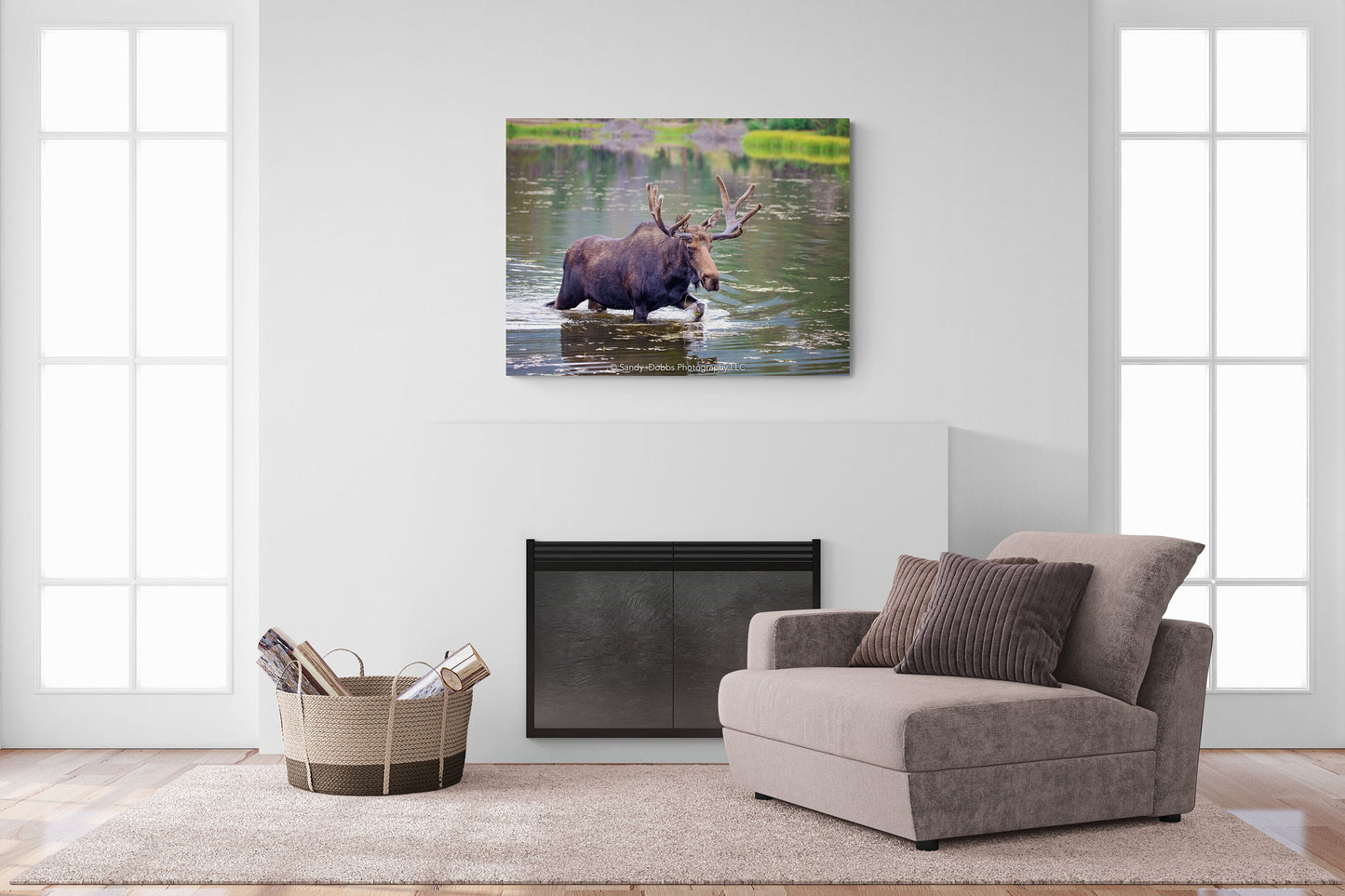 Bull Moose, Rocky Mountain National Park, Colorado Canvas Wall Art Prints, Wildlife Wall Photography, Canvas Decor for Home or Office