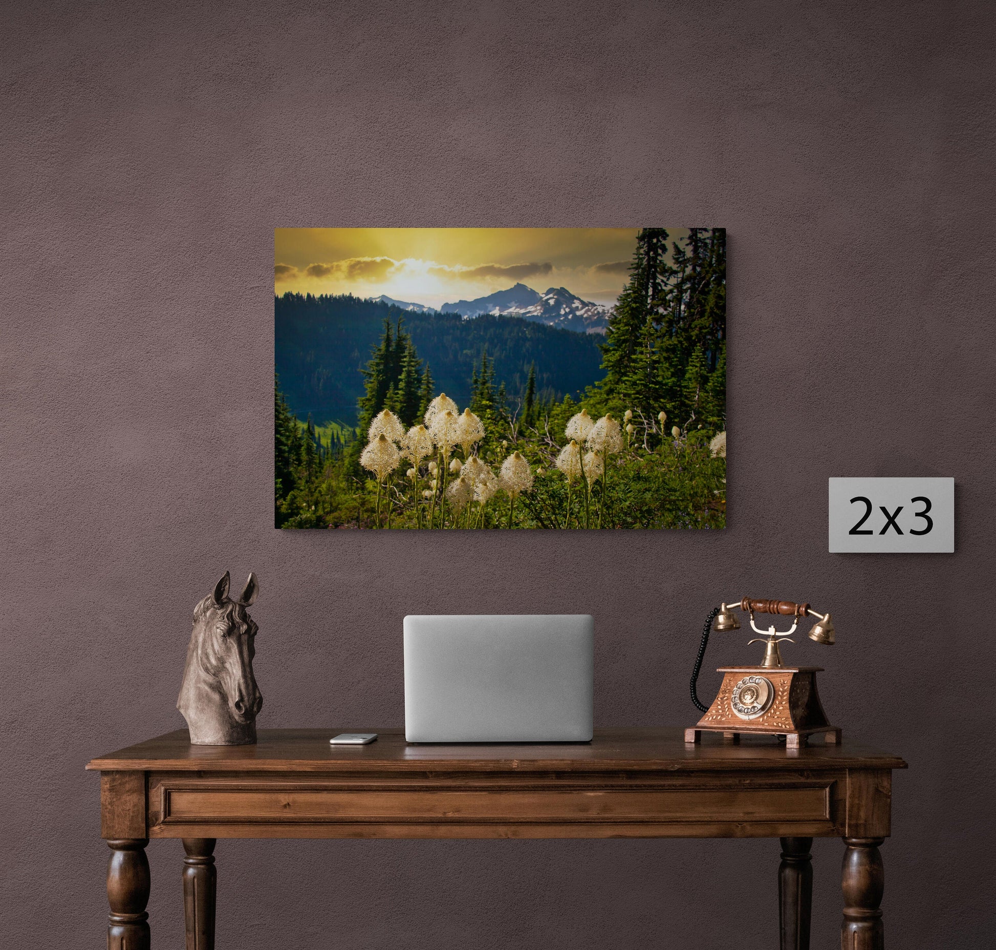 Sunset on Bear Grass Mt. Ranier National Park, Washington Mountain Landscape, Canvas Wall Art Prints, Wall Decor for Home or Living Room,