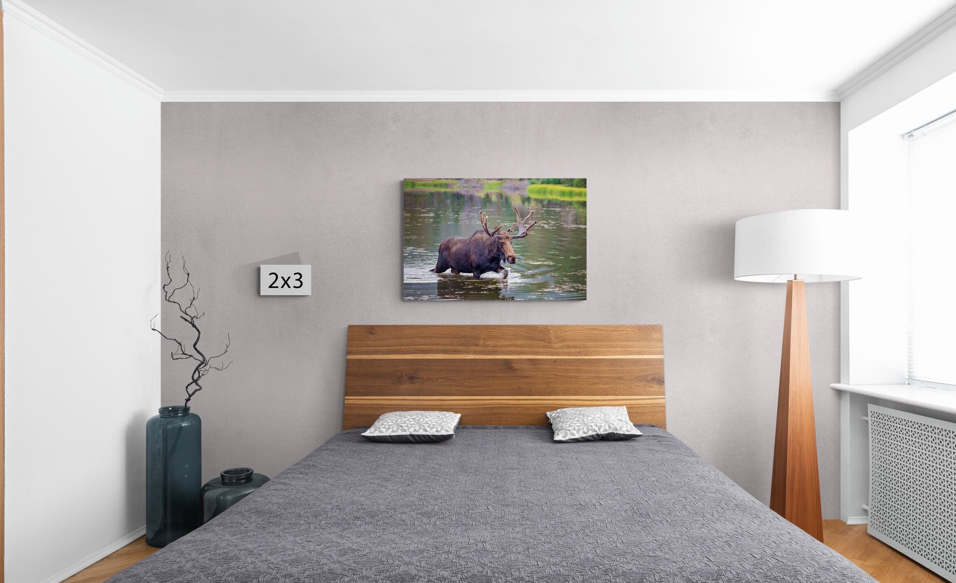 Bull Moose, Rocky Mountain National Park, Colorado Canvas Wall Art Prints, Wildlife Wall Photography, Canvas Decor for Home or Office