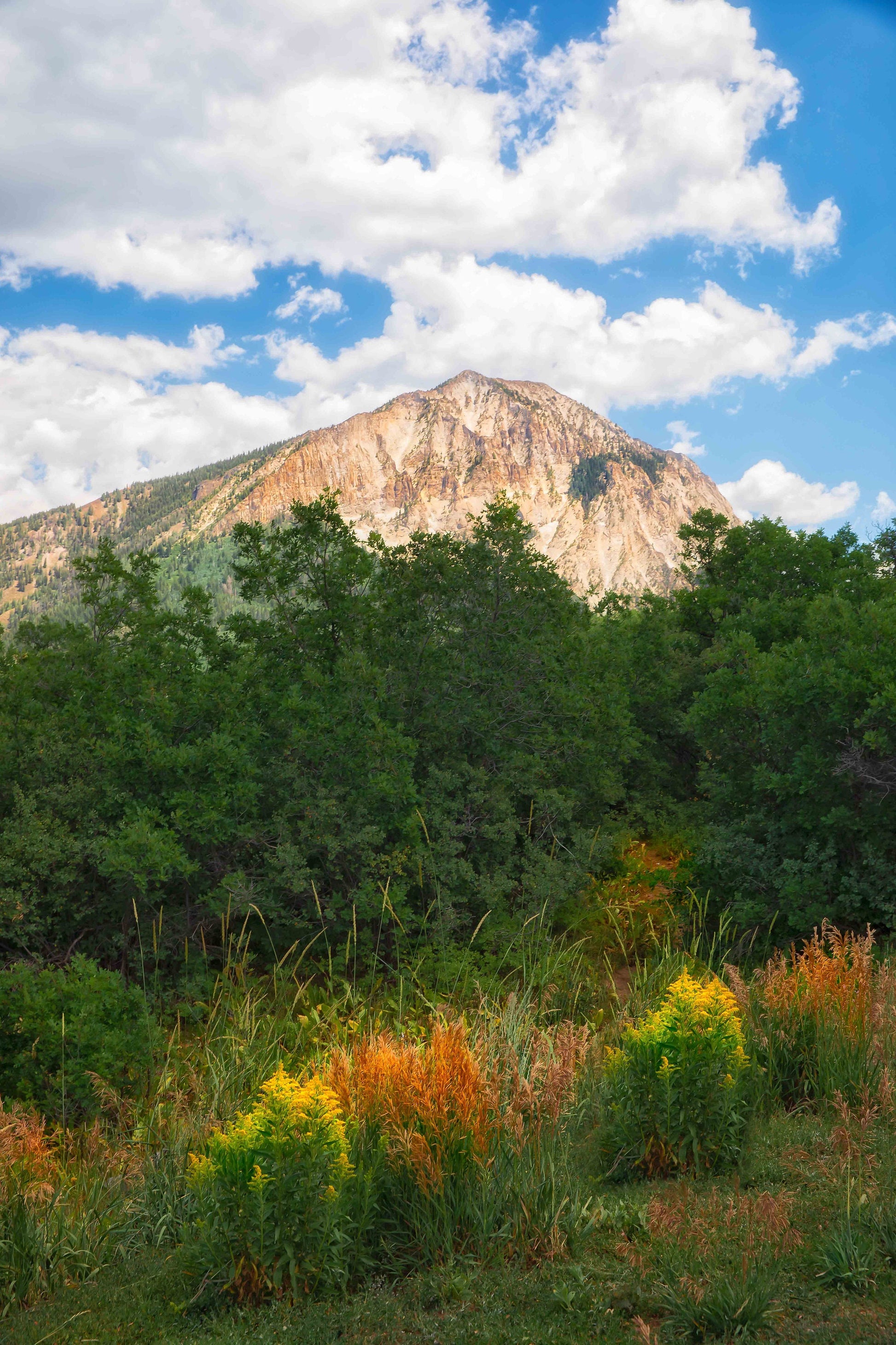 Keebler Pass Mountain Landscape, Colorado Rocky Mountains, Canvas Wall Art Prints, Wall Decor for Home,Living Room, Bedroom, and Office