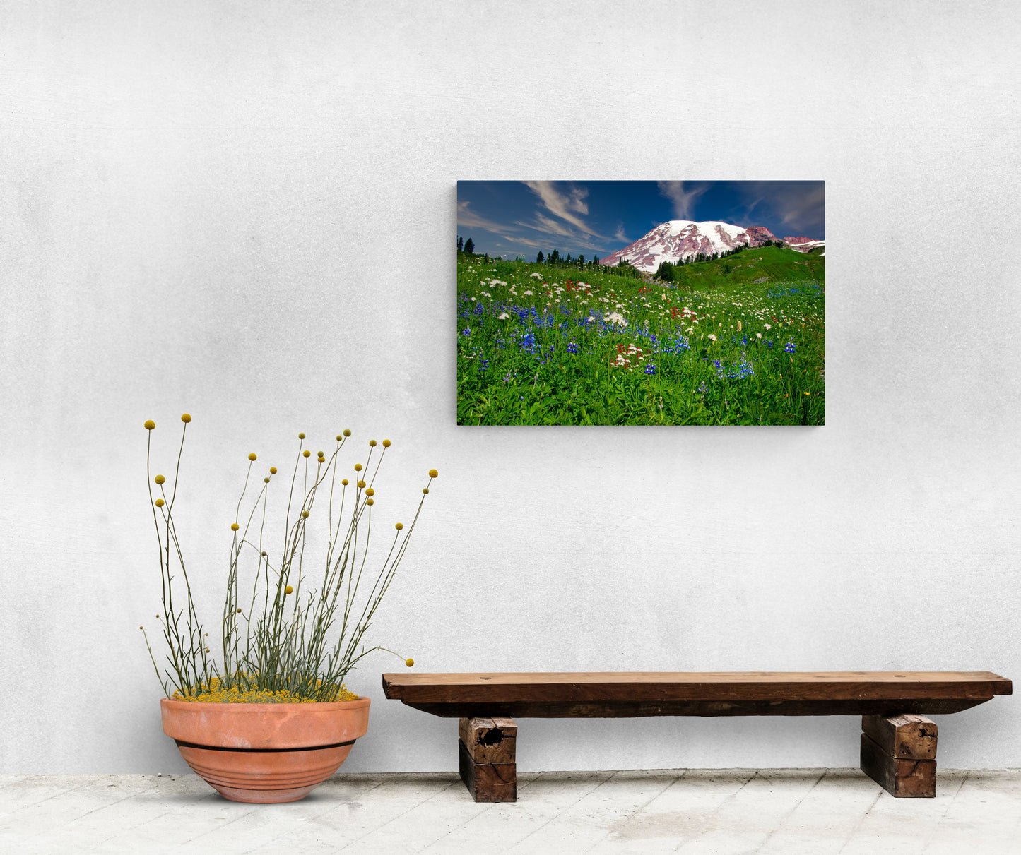 Mountain Wildflowers Art,  Mt. Ranier National Park Photography, Snowy Mountain Landscape, Beautiful Scenery, Large Canvas Print