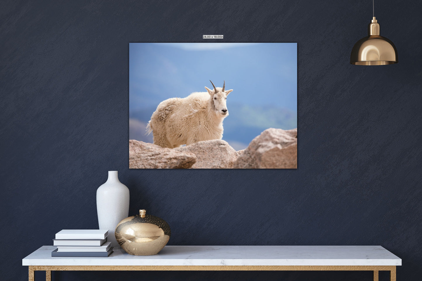 Mountain Goat on Mount Evans Colorado Print, Canvas Wall Art Prints, Colorado Wildlife Photography, Wall Decor for Home or Office