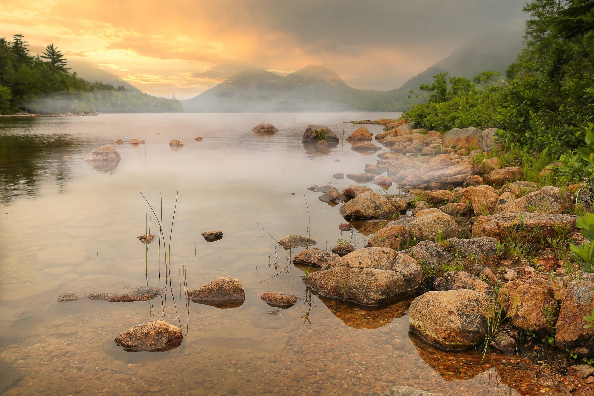 Misty morning sunrise at Acadia National Park.