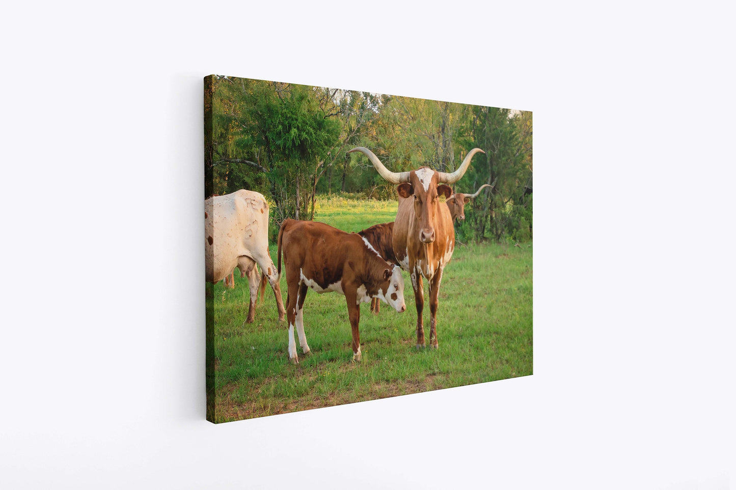 Texas Longhorn Cow Calf Print, Canvas Wall Art Prints, Cow Wall Art, Western Decor, Rustic Wall Decor for Home and Office