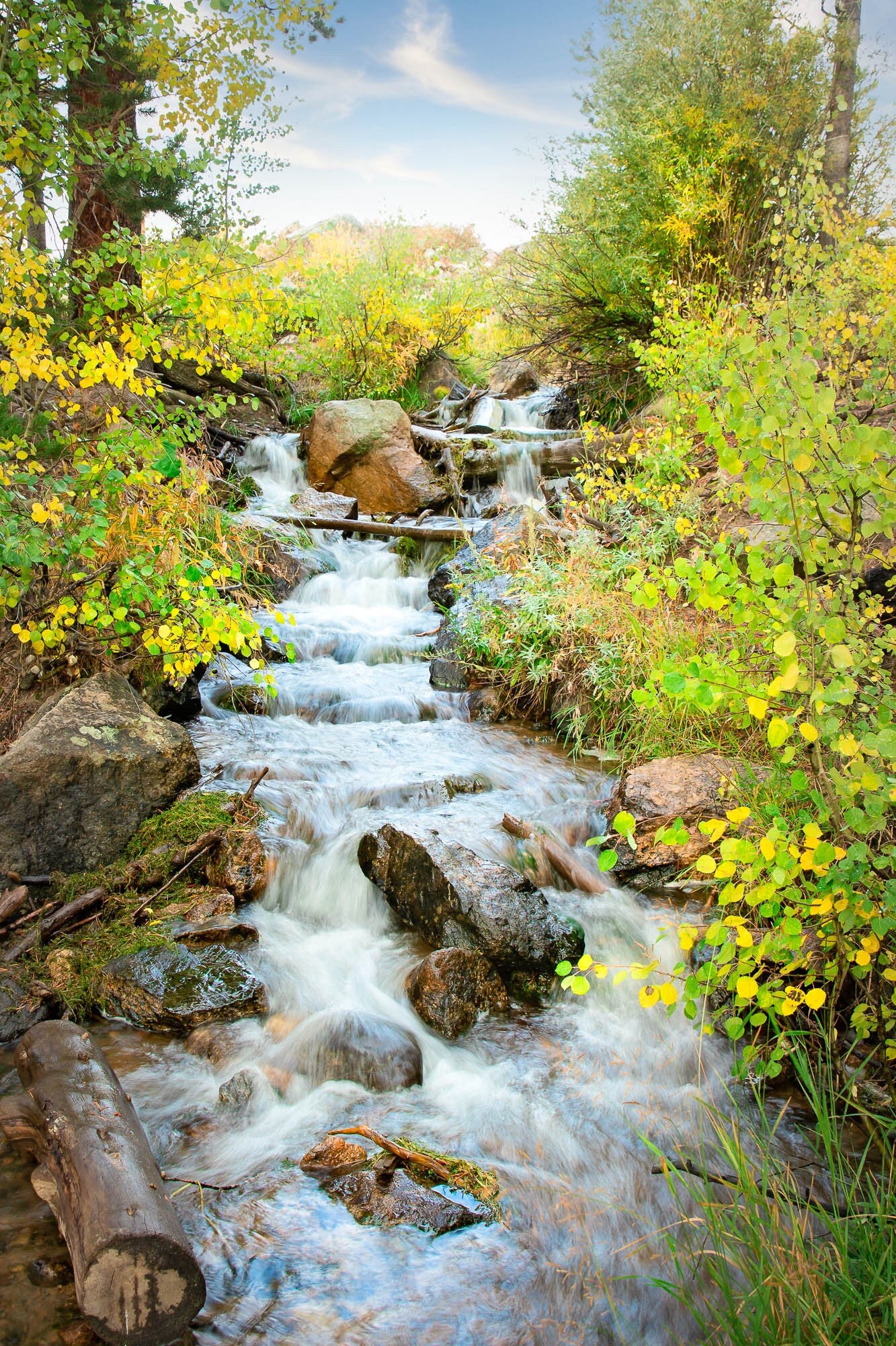 Mountain Stream Photo Print, Rocky Mountain National Park Fall Aspens, Colorado Vertical Landscape Canvas Wall Art, Forest Scene Home Decor