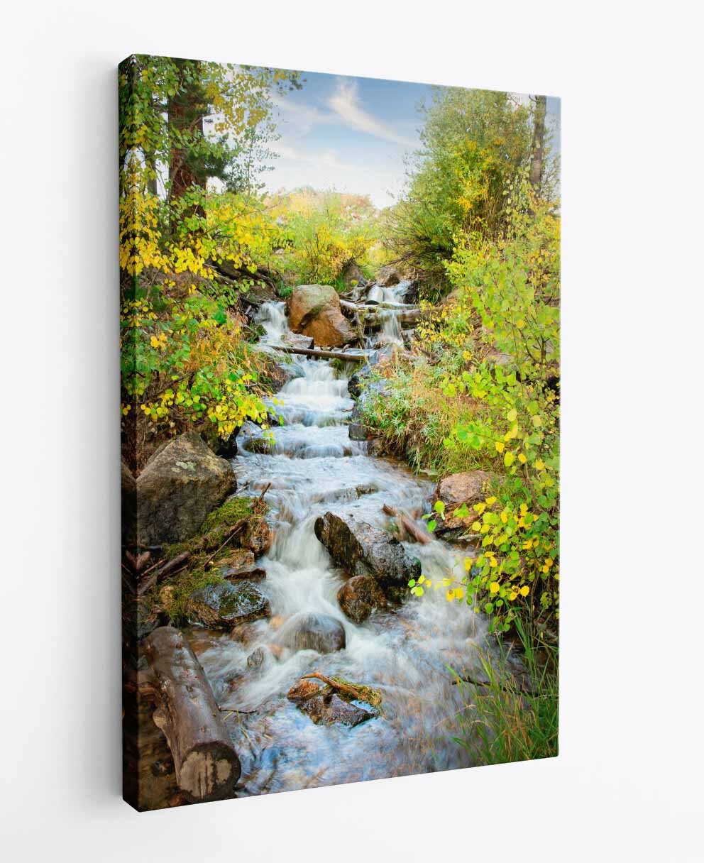 Mountain Stream Photo Print, Rocky Mountain National Park Fall Aspens, Colorado Vertical Landscape Canvas Wall Art, Forest Scene Home Decor