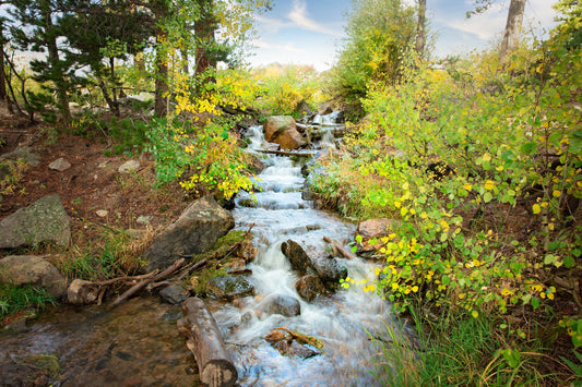 Colorado Landscape Canvas Wall Art, Mountain Stream in Autumn, Rocky Mountain National Park Fall Aspens, Forest Scene Home and Office Decor