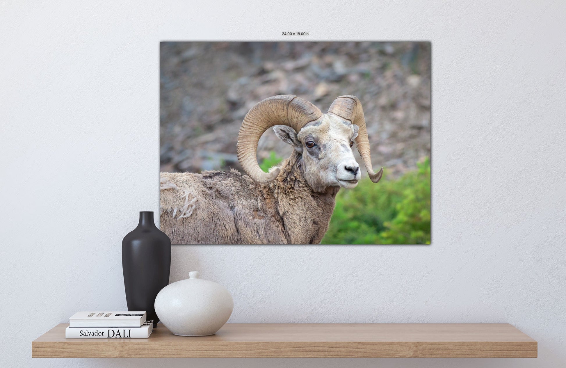 Big Horn Ram Wildlife Wall Canvas, Rocky Mountain Sheep Photography, Banff National Park Art Prints, Decor for Home ,Living Room, Bedroom