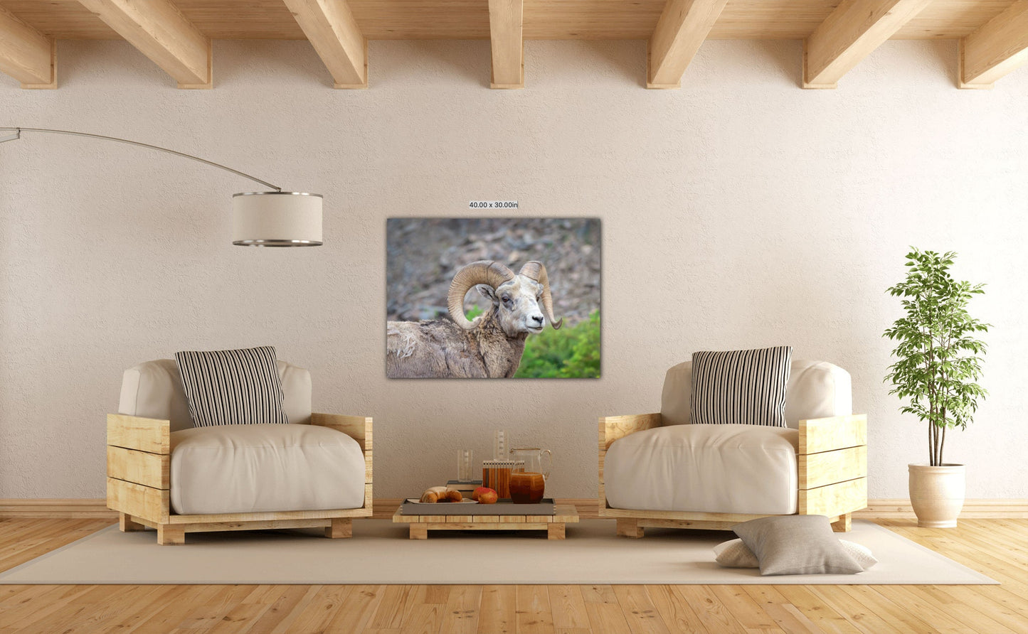 Big Horn Ram Wildlife Wall Canvas, Rocky Mountain Sheep Photography, Banff National Park Art Prints, Decor for Home ,Living Room, Bedroom