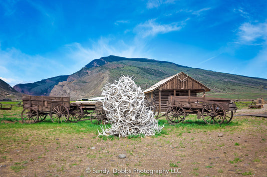 Photo of antique wagons with rustic buildings from Old West and a pile of bleached antler horns.  Available in canvas or fine art prints.