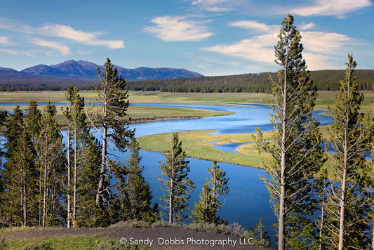 View of the beautiful Lamar Valley in Yellowstone National Park shows the blue river snaking through the green valley and a soft cloudy sky.
Available in canvases and fine art prints.