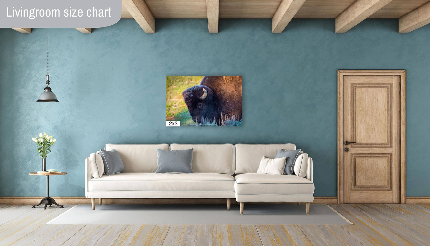 Buffalo Bull Head, Bison Canvas Print, Buffalo Closeup Photograph, Yellowstone National Park Wildlife Photography, Wildlife Wall Art Decor