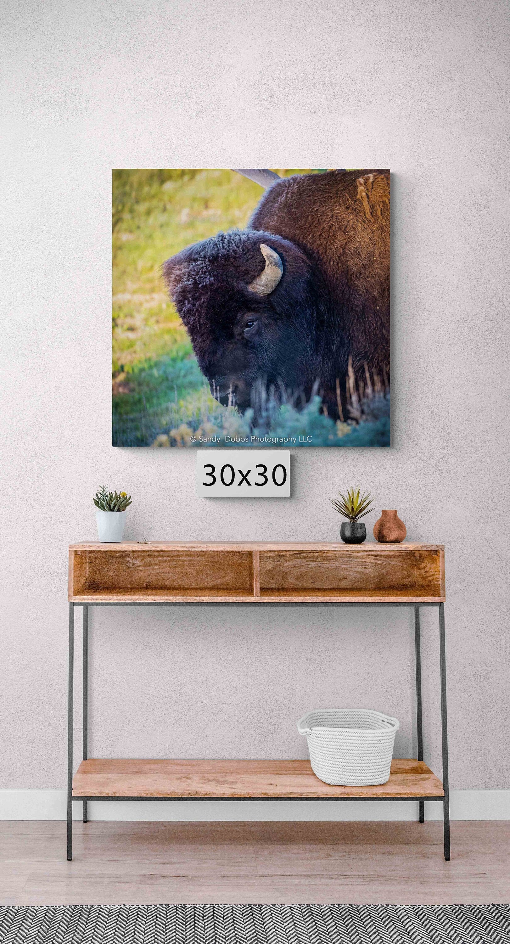 Buffalo Bull Head, Bison Canvas Print, Buffalo Closeup Photograph, Yellowstone National Park Wildlife Photography, Wildlife Wall Art Decor