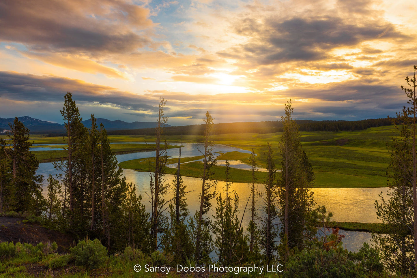 Hayden Valley Sunrise, Yellowstone National Park Landscape Print, Wyoming Mountain Scenery, Fine Art Wall Photography, Large Nature Canvas