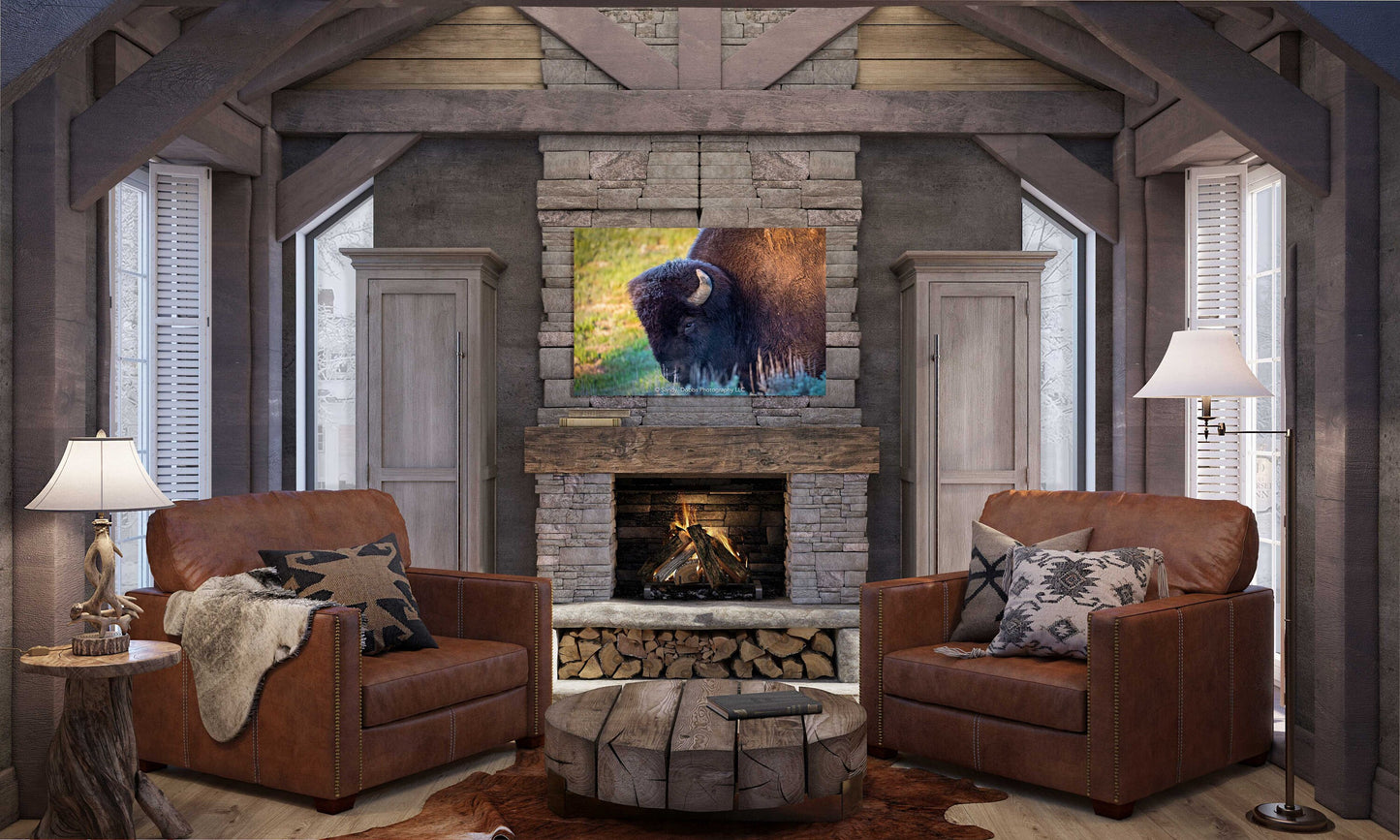 Buffalo Bull Head, Bison Canvas Print, Buffalo Closeup Photograph, Yellowstone National Park Wildlife Photography, Wildlife Wall Art Decor