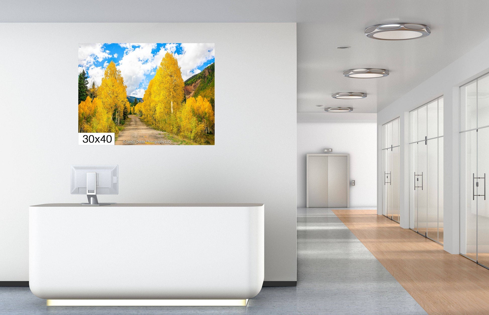 Colorado Golden Aspen Metal Print, Autumn Aspens Photo, Nature Acrylic Print, Rocky Mountain Landscape Print, Large Wall Art Print Decor