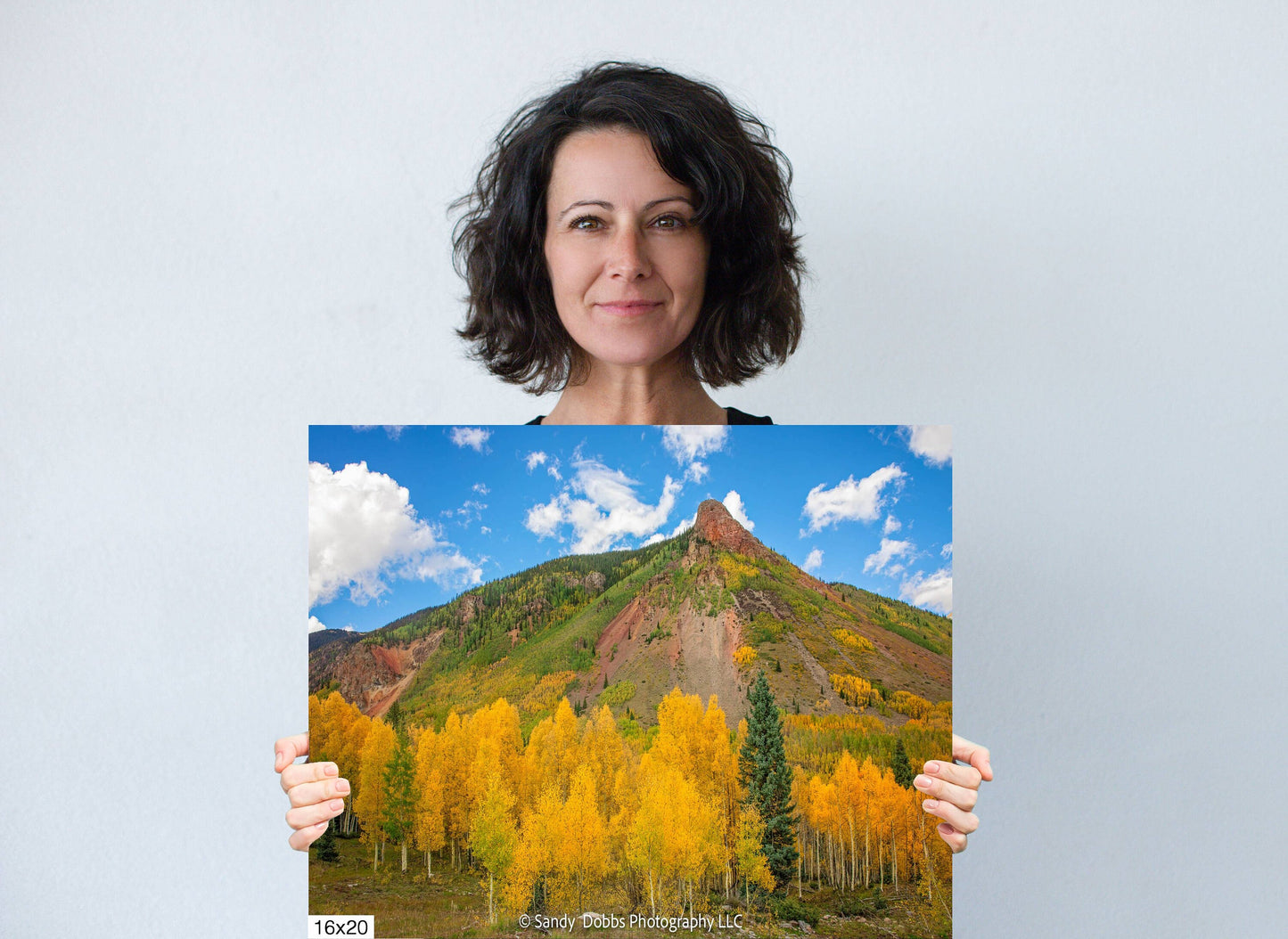 Colorado San Juan Aspen Forest, Aspens in Fall Photo, Silverton Colorado. Autumn Mountain Landscape Print, Canvas Wall Art Prints