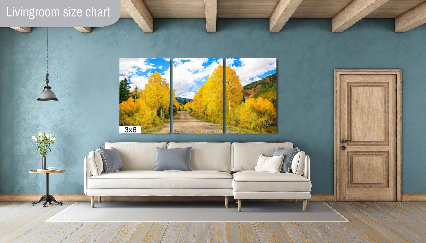 Colorado Golden Aspen Metal Print, Autumn Aspens Photo, Nature Acrylic Print, Rocky Mountain Landscape Print, Large Wall Art Print Decor