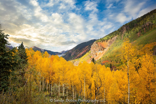 Golden Aspens on Mountain, Colorado Photography Landscape Canvas, Fine Art Wall Print, Nature Scene Fall Colors, Home Decor Made in the USA