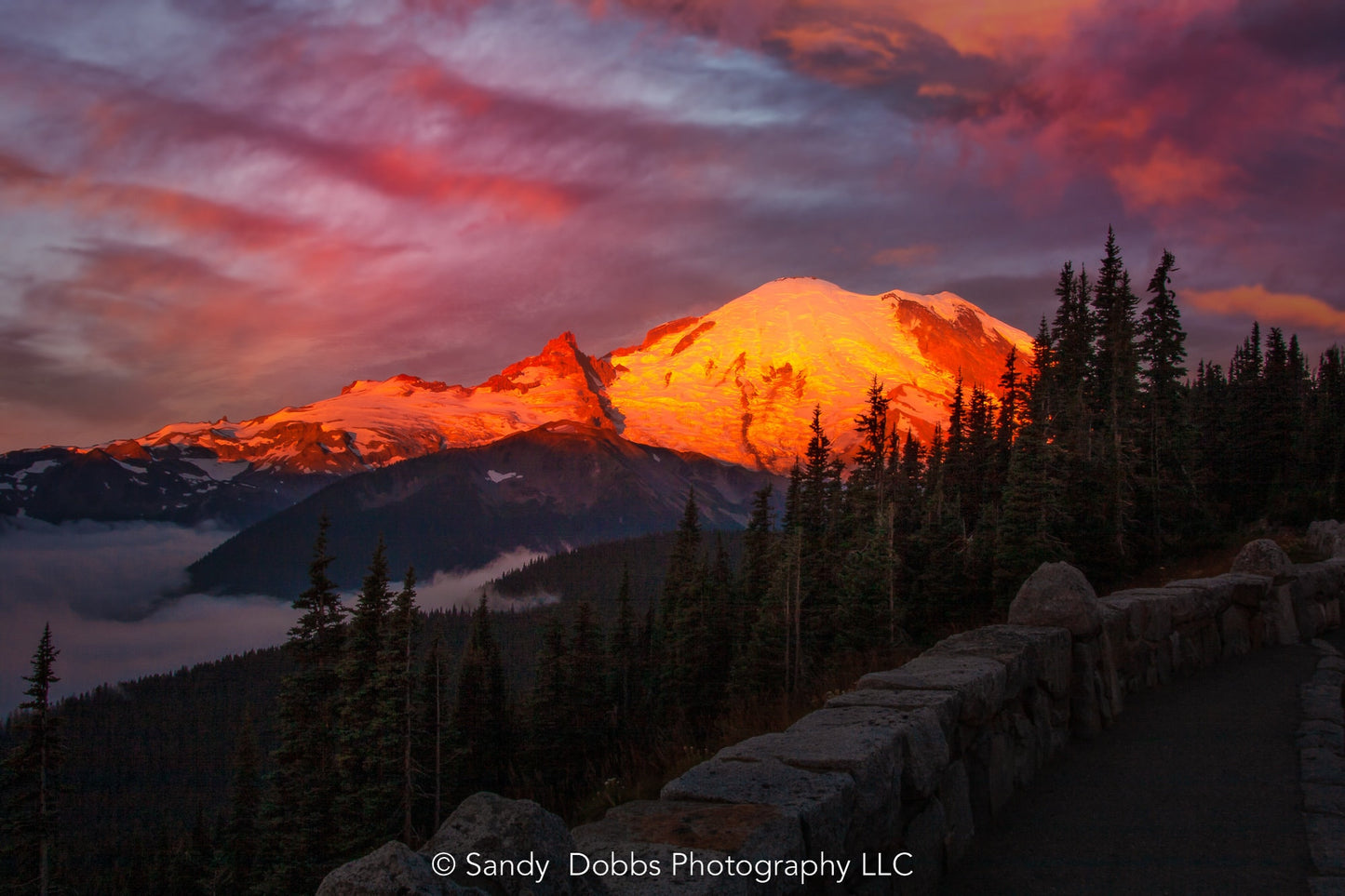 Mt Rainier Sunrise Photo Print, Mt Rainier National Park, Photography Landscape Canvas Wall Art Print, Washington Landscape, Fine Art Decor