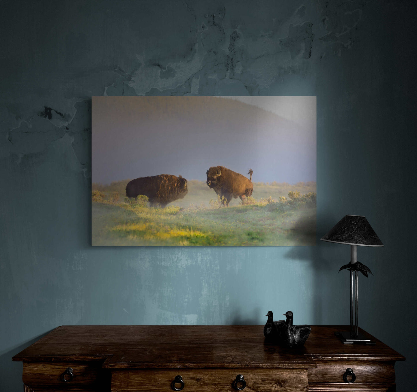 Buffalo Wall Art Print, Bison Photograph, Yellowstone National Park Wildlife Photography, Wildlife Canvas Decor, Western Landscape