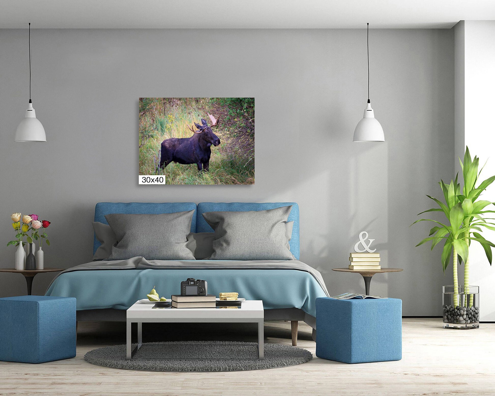 Bull Moose, Rocky Mountain National Park, Moose Canvas Art, Wildlife Wall Photography, Colorado Canvas Wall Art,  Fine Art Animal Prints