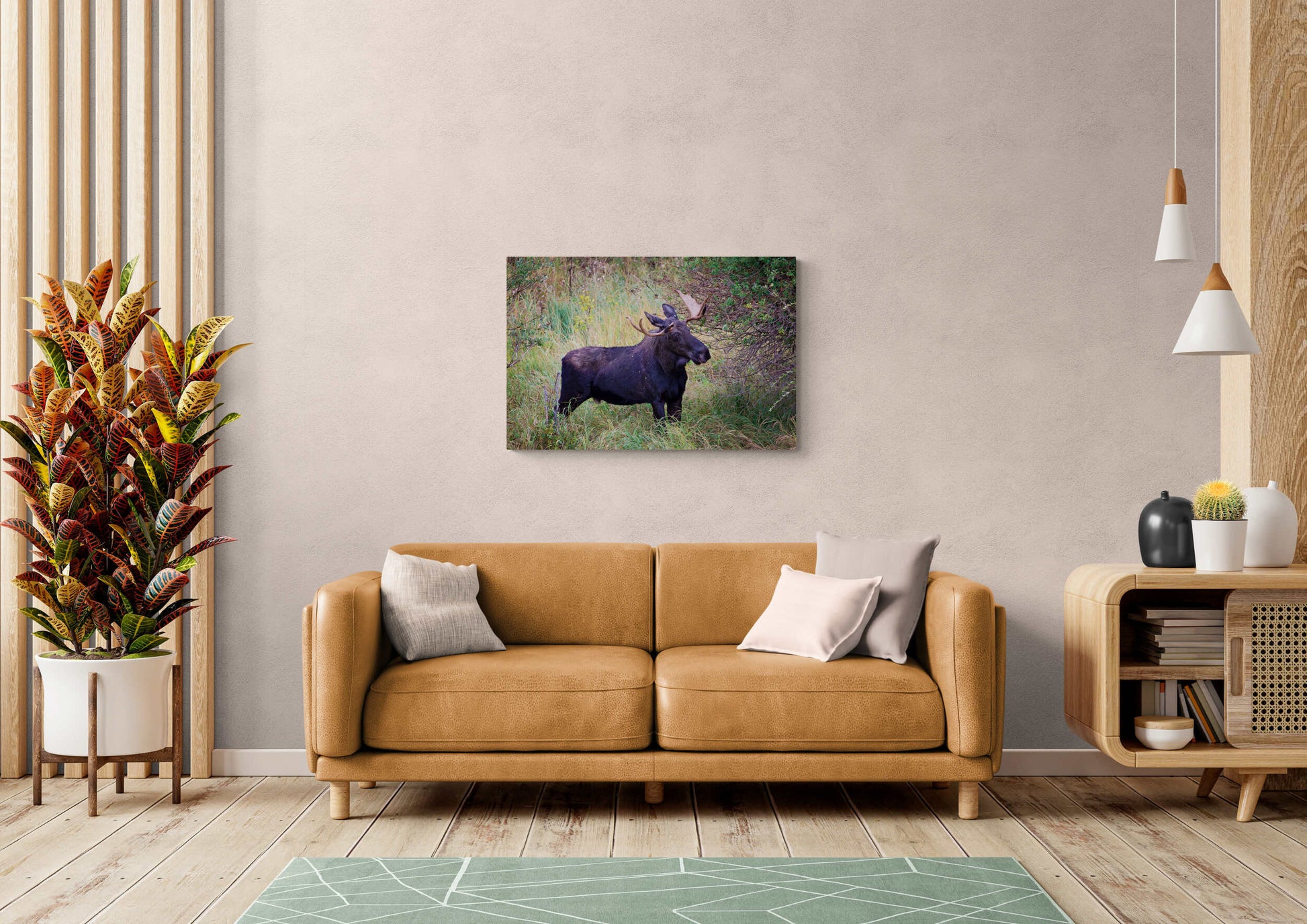 Bull Moose, Rocky Mountain National Park, Moose Canvas Art, Wildlife Wall Photography, Colorado Canvas Wall Art,  Fine Art Animal Prints