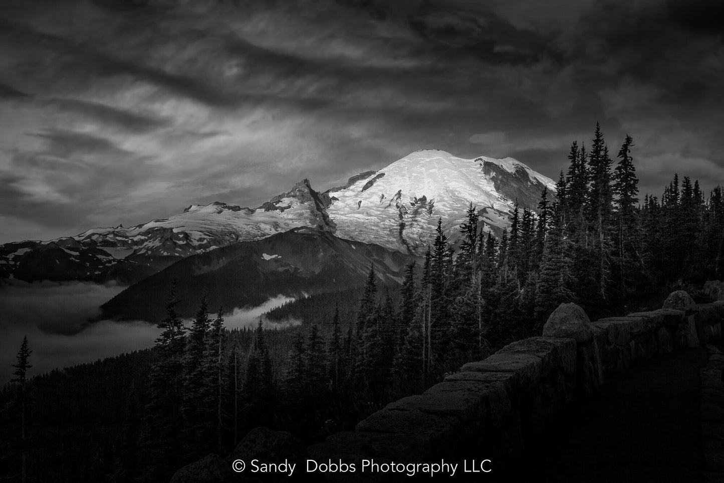 Mt Rainier Sunrise Photo Black and White Print, Mt Rainier National Park, Photography Landscape Canvas Wall Art Print, Washington Landscape