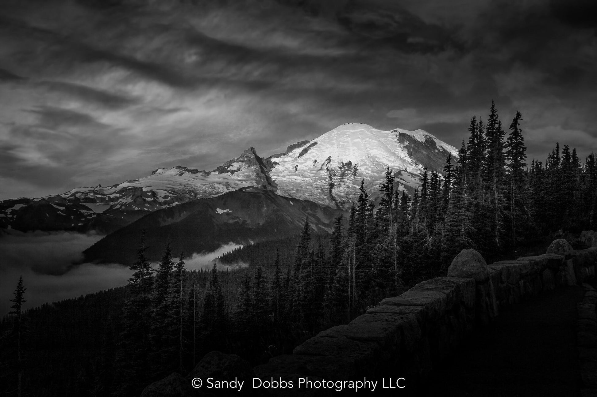 Mt Rainier Sunrise Photo Black and White Print, Mt Rainier National Park, Photography Landscape Canvas Wall Art Print, Washington Landscape