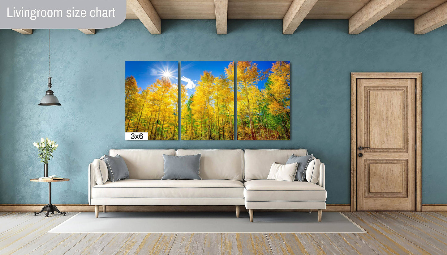 Colorado Golden Aspens, Autumn Aspens Photo, Nature Canvas Print, Rocky Mountain Landscape, Large Canvas Wall Art, Colorado Photography