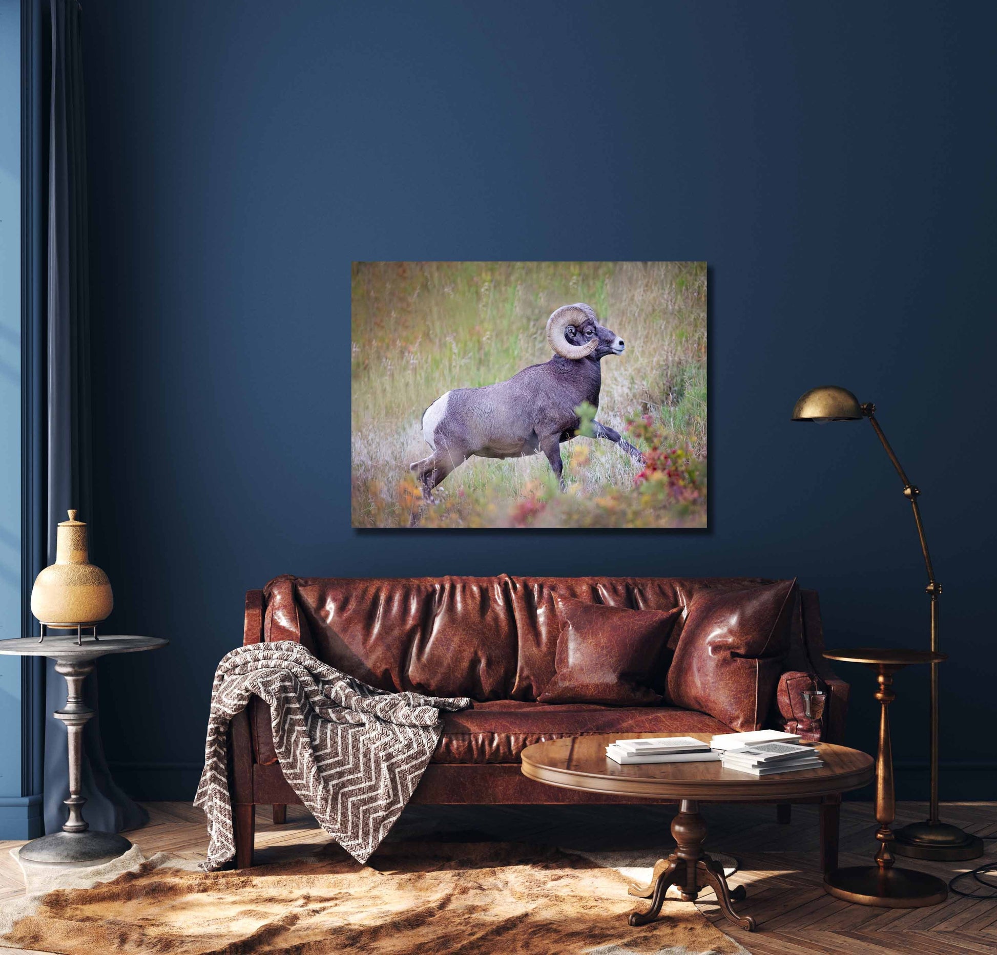 Big Horn Ram Running, Wildlife Wall Canvas, Rocky Mountain National Park, Colorado Art Prints, Decor for Home and Office, Original Photo