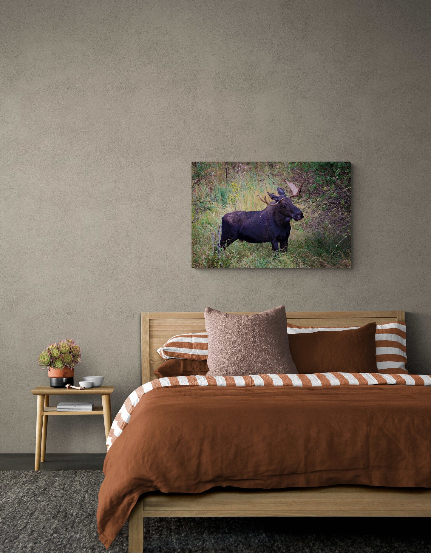 Bull Moose, Rocky Mountain National Park, Moose Canvas Art, Wildlife Wall Photography, Colorado Canvas Wall Art,  Fine Art Animal Prints