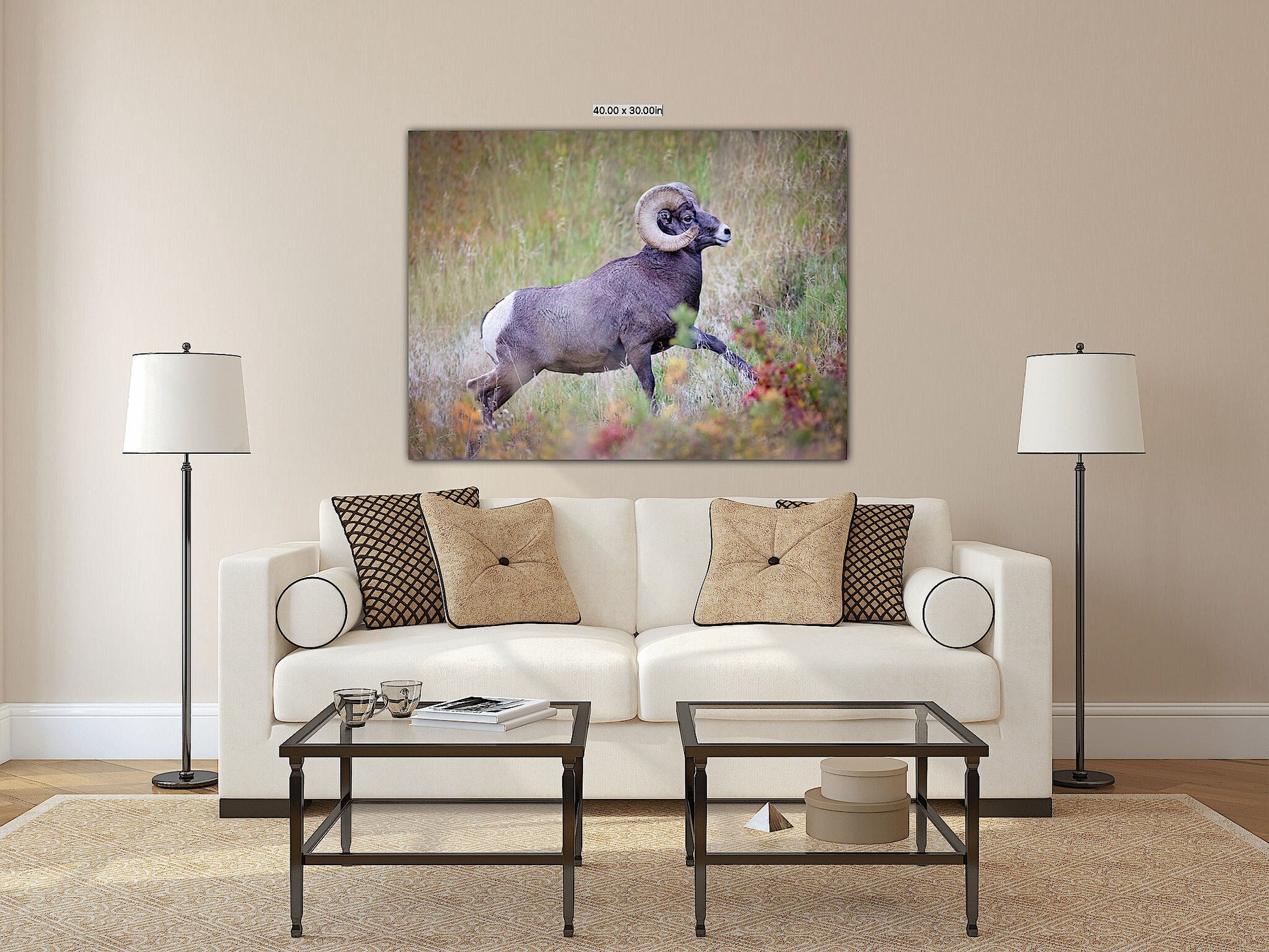 Big Horn Ram Running, Wildlife Wall Canvas, Rocky Mountain National Park, Colorado Art Prints, Decor for Home and Office, Original Photo