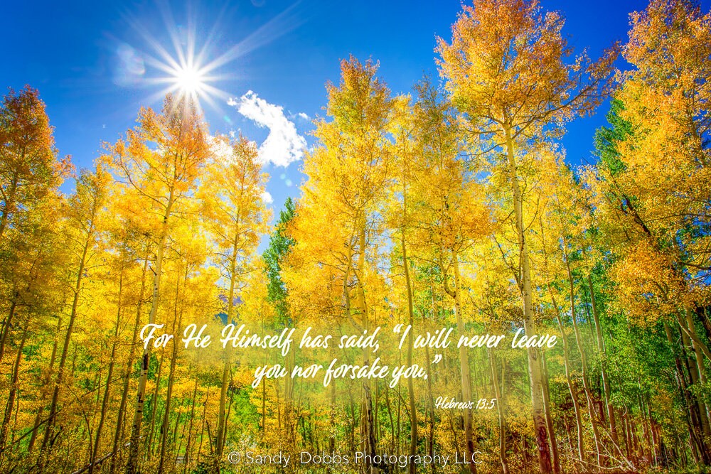 Hebrews 13:5, Christian Inspirational Wall Art, He Will Never Leave You Nor Forsake You, Colorado Landscape Photography, Customization