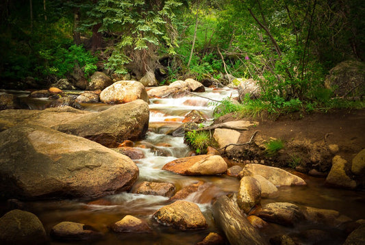 Mountain Stream Wall Art, Rocky Mountain National Park, Mountain Photography Canvas, Forest Scene, Colorado Landscape Canvas Wall Art