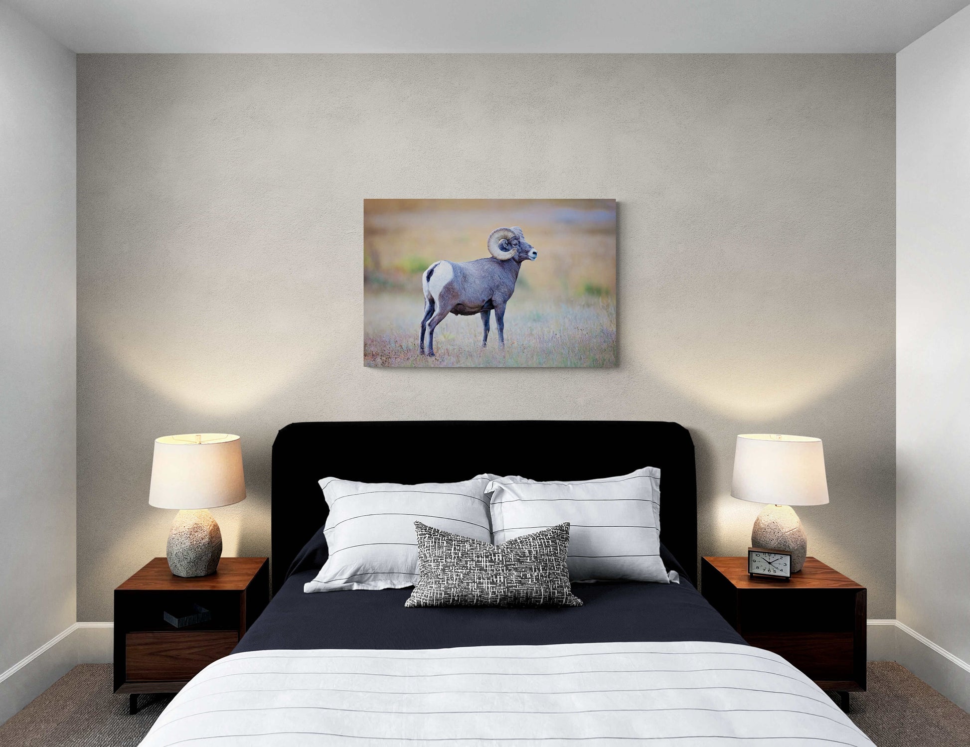 Big Horn Ram at Sheep's Lake, Wildlife Wall Canvas, Rocky Mountain National Park, Colorado Art Prints, Decor for Home and Office, Original