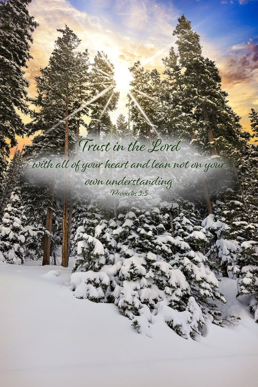 Proverbs 3:5, Christian Inspirational Wall Art, Scripture Wall Canvas, Trust in the Lord, Colorado Landscape Photography, Customization