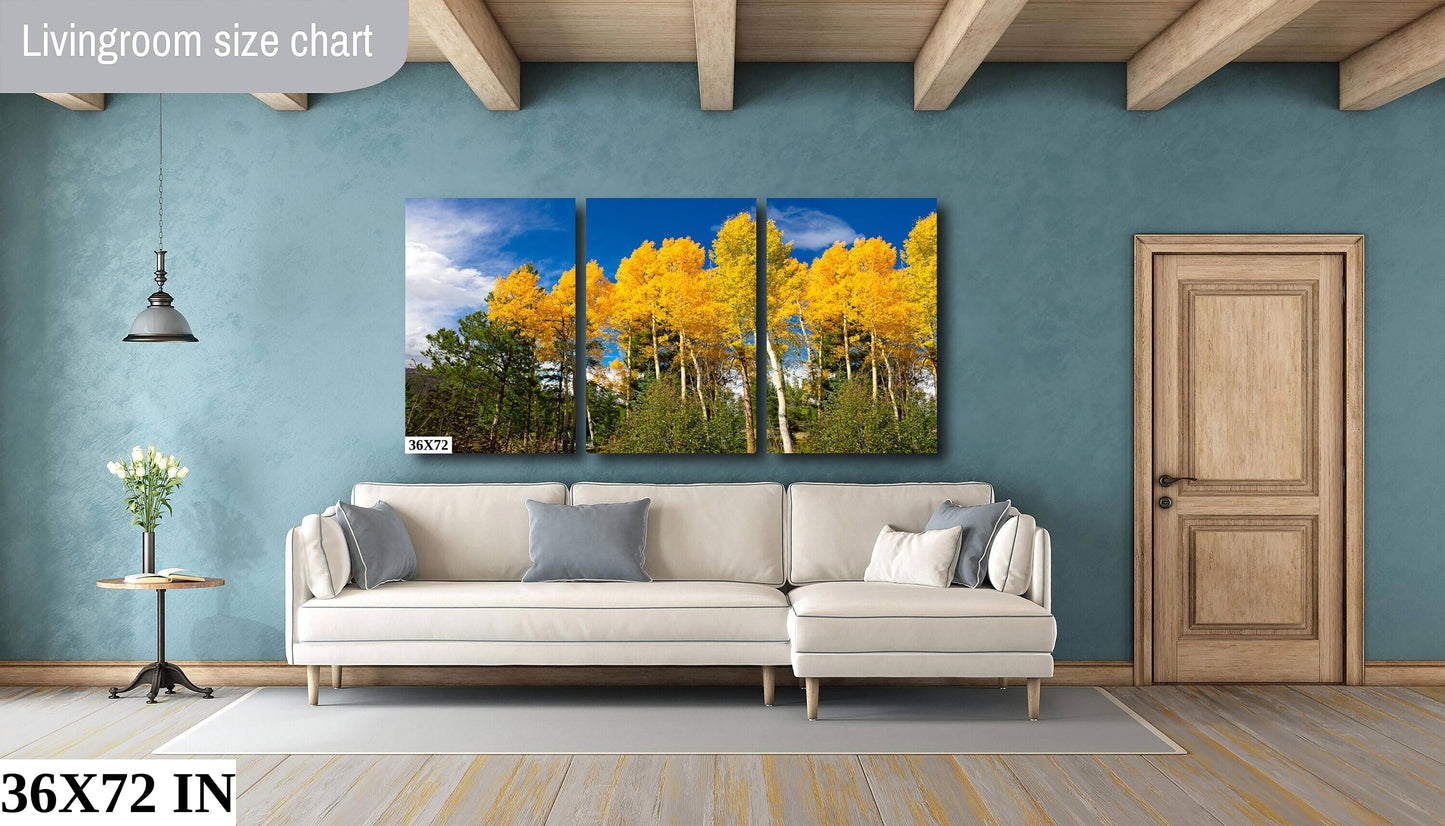 Colorado Golden Aspens Photo, Autumn Aspens, Nature Canvas Print, Rocky Mountain Landscape, Large Canvas Wall Art, Colorado Photography