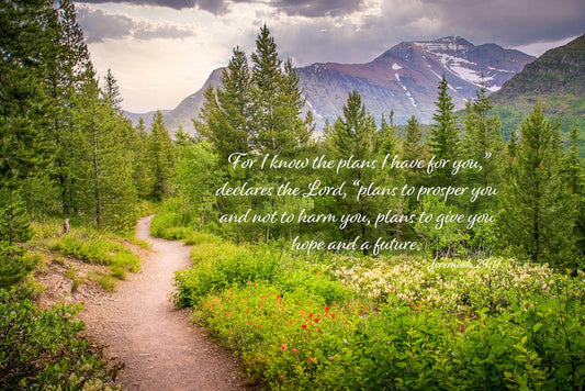Jeremiah 29:11 Bible verse on a background image of a winding path along Mt Rainier in Mt. Rainier National park. Offered by the original photographer and available on prints or canvases.