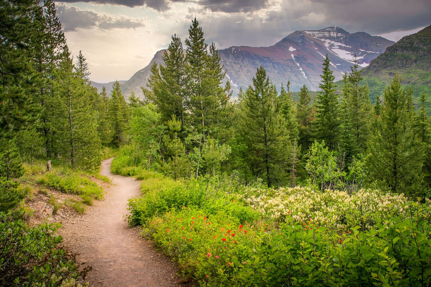 Mountain Hiking Trail, Mt Rainier National Park Canvas Print, Trail on Mountain,  Dramatic Mountain Landscape, Fine Art Wall Print Decor