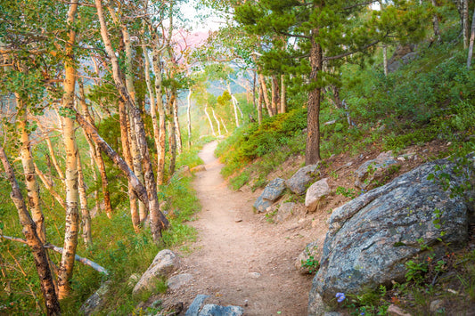 Rocky Mountain National Park, Bierstadt Lake Trail, Hiking Canvas Photo, Mountain Landscape, Colorado Scenic Photography,  Hiking Artwork