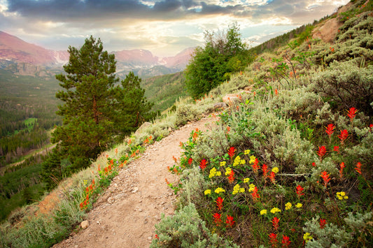 Rocky Mountain Hiking Trail, National Park, Bierstadt Lake, Photo Canvas, Mountain Landscape, Colorado Scenic Photography,  Hiking Artwork