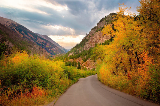 Glorious fall colors of orange, red and deep green along the Fall River Road in Rocky Mountain National Park. Photography offered  in prints and canvases by the original photographer.