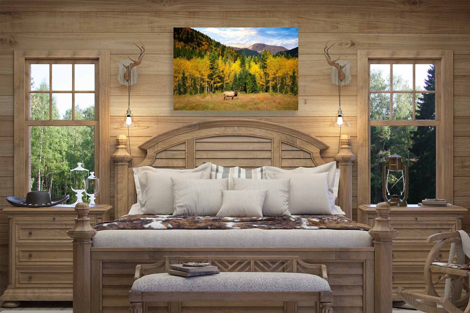 Rocky Mountain National Park, Bull Elk and Fall Aspen Trees, Wildlife Wall Canvas, Colorado Canvas Art Prints, Elk Photography