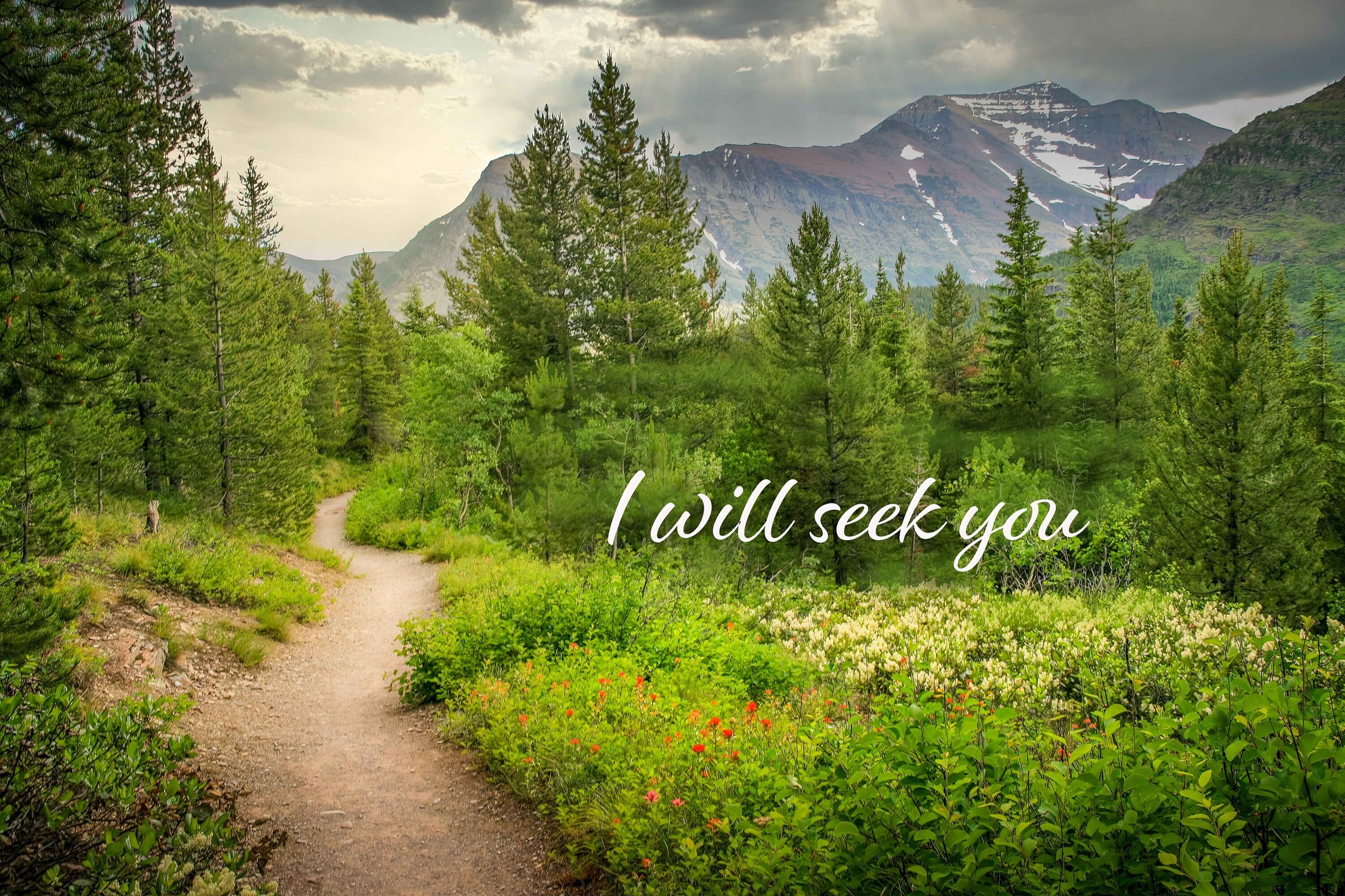 I Will Seek You, Scripture Canvas, Mt Rainier Mountain Scene Bible Verse, Christian Inspirational Wall Art, Jeremiah 29:11