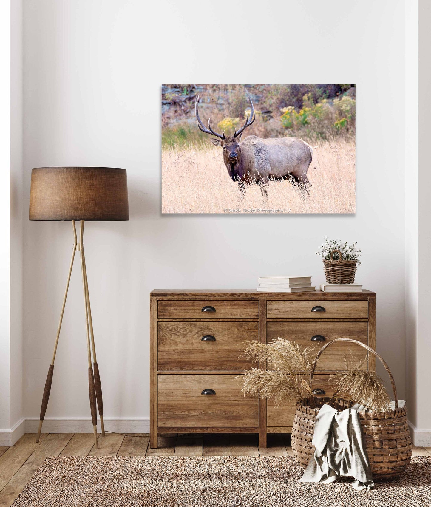 Bull Elk Photo, Wildlife Wall Canvas, Rocky Mountain National Park, Colorado Art Prints, Elk Photography, Fine Art, Made in the USA